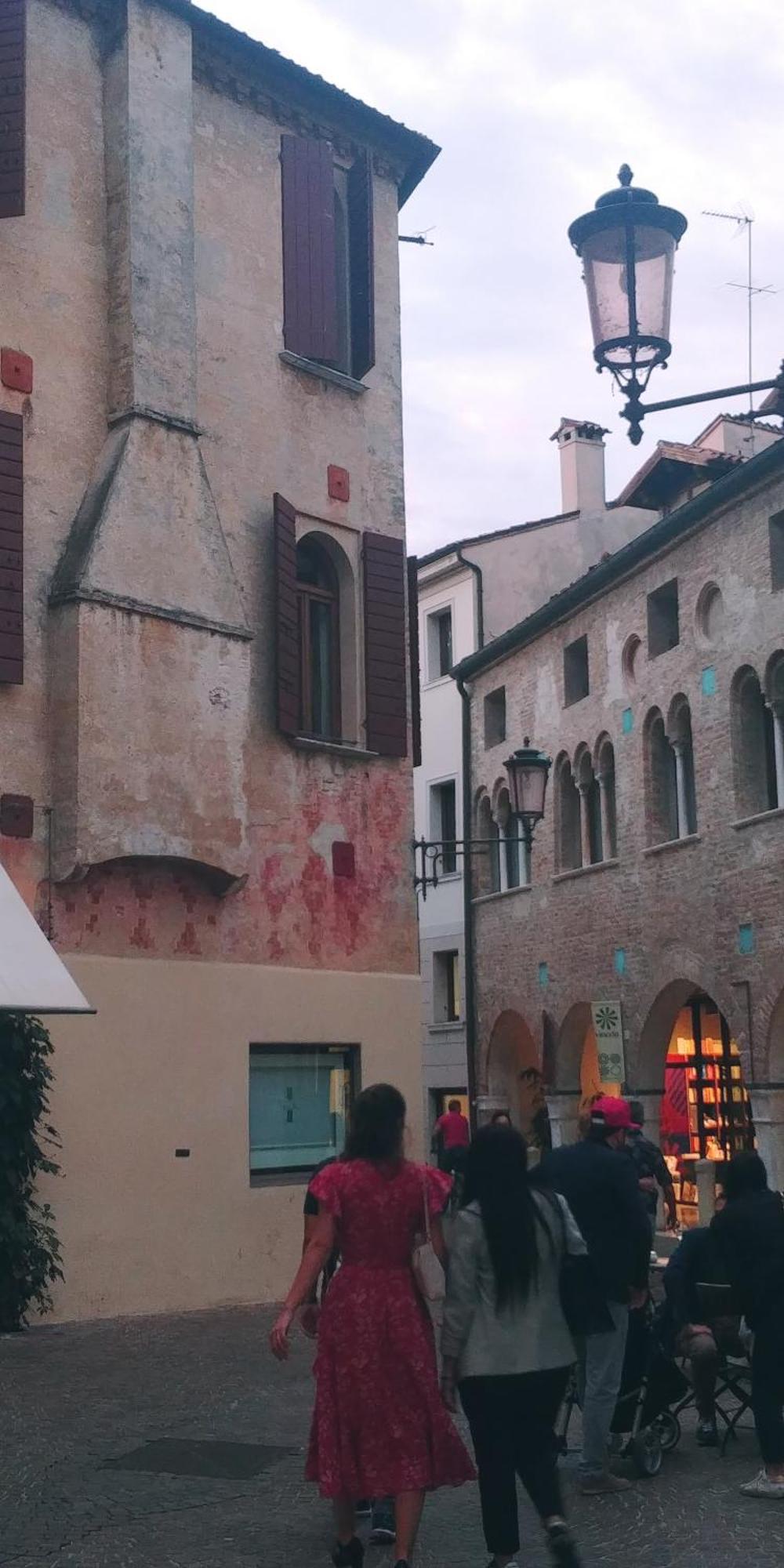 Апартаменты Ampi Spazi, A Piedi In Centro. Тревизо Экстерьер фото